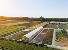 Greenhouse Work