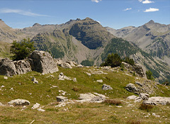 Mountain Work